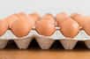 L’œuf est un aliment délicieux, qui peut être cuisiné de nombreuses façons différentes. Bon pour la Planète, bon pour la ligne, et bon pour le porte-monnaie ! Mais peut-on consommer des œufs tous les jours ? Existe-t-il un risque d’accroitre le cholestérol sanguin ?