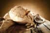 Sur le célèbre site archéologique de Çatalhöyük en Turquie, des chercheurs ont fait une incroyable découverte : une miche de pain, étonnamment conservée. Sa datation révèle qu’elle aurait été façonnée il y a 8 600 ans, ce qui en fait le plus vieux pain connu à ce jour !