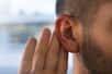 Les aides auditives et les implants cochléaires offrent un soulagement limité pour les patients touchés par une perte auditive génétique. Des chercheurs ont mis au point une technique de thérapie génique chez la souris, prometteuse pour l’Homme.