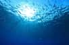 Le réchauffement des océans fait disparaître le plancton, et avec, les poissons qui en dépendent. Dans l'Atlantique nord, la disparition de 26 % du plancton d'ici 2100 pourrait faire disparaître jusqu'à 55 % des poissons, et bien plus encore dans d'autres océans.