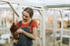 Aux États-Unis, les autorités sanitaires recommandent aux propriétaires de poules et de canards de ne pas les embrasser. En effet, une centaine de cas de salmonellose se propagent dans le pays, tous reliés à un poulailler domestique.