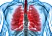 Les poumons sont les organes de la respiration situés dans&nbsp;la cage thoracique. © Yodiyim, Fotolia