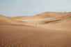 Le secteur de la construction fait face à une pénurie de sable. Difficile à croire quand on contemple les immenses dunes du Sahara. Hélas, les industriels ont besoin de granulats aux caractéristiques bien précises et le sable du désert est pour eux inexploitable.