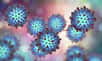 Quel virus est responsable de la grippe ? Lequel de ces virus est le plus contagieux ? Quelle est la cible du VIH ? Vérifiez vos connaissances sur le monde infiniment varié des virus grâce à ces 10 questions.
