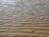 Plage de sable ridé à marée basse. © Heurtelions, Wikimédia CC by-sa 3.0