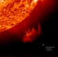 La surface du Soleil est à une température suffisante pour vaporiser les roches de la Terre. On voit sur cette image une éruption solaire avec la Terre et sa taille représentée en bas à droite. © SOHO-EIT Consortium, Esa, Nasa