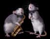 Les rats sont-ils sensibles à la musique ? Perçoivent-ils les battements d'un tempo et y réagissent-ils ? Des chercheurs ont mis en évidence leur synchronisation sur certains rythmes en menant des expériences sur leurs comportements et en observant les activités neuronales chez ces rongeurs.