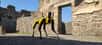 Le parc archéologique de Pompéi vient d’engager le chien-robot Spot de Boston Dynamics pour patrouiller le site. Celui-ci sera chargé d’inspecter les zones les plus dangereuses, et notamment les tunnels des pilleurs.