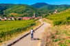 Envie de grand air, de se balader dans des paysages enchanteurs, et de fous rires entre amis ? Au départ de Strasbourg, partez à vélo pour explorer l’Alsace et ses alentours dans un rayon à moins de trois heures de la capitale européenne : canaux paisibles, villages pittoresques, routes des vins et haltes gourmandes vous attendent pour un week-end printanier inoubliable. En selle pour l’aventure !