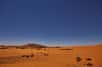 Une étude de l’université du Maryland montre que le Sahara s'est étendu de 10 % depuis 1920, en partie à cause du changement climatique. D’autres déserts dans le monde pourraient aussi s’étendre, réduisant ainsi les surfaces de terres arables.