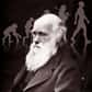 Charles Robert Darwin est né en 1809 et mort en 1882. Le plus célèbre des naturalistes anglais, auteur de la théorie de la descendance modifiée par le moyen de la sélection naturelle (plus couramment désignée sous les termes de « théorie de l'évolution »), à laquelle s'est rallié l'ensemble de la pensée transformiste moderne, naquit à Shrewsbury (Shropshire) dans une famille aisée, cinquième enfant de Robert Waring Darwin, médecin connu, et de Susannah Wedgwood, fille de Josiah Wedgwood, céramiste renommé et patron d'industrie. 
© Institut Charles Darwin International
Son grand-père, Erasmus Darwin, médecin, naturaliste et poète, était l'auteur d'une œuvre originale (dont la fameuse Zoonomia), trop souvent réduite à ses aspects insolites, où se trouvaient pour la première fois exposées des idées transformistes assez voisines de celles que le Français Lamarck allait soutenir avec un grand courage et assez peu de succès à partir de l'année 1800. Après de pénibles études de médecine à Édimbourg, puis de théologie à Cambridge où il s'adonne à sa passion des Insectes et devient le disciple et l'ami du botaniste John Stevens Henslow, qui l'introduit dans le monde, le jeune Charles est reçu bachelor of Arts en 1831, et part explorer le nord du Pays de Galles en compagnie du géologue Adam Sedgwick, également professeur à Cambridge.
À son retour, grâce à la protection de Henslow, il s'embarque pour un voyage autour du monde, le 27 décembre, en qualité de naturaliste non appointé, à bord du vaisseau le Beagle, commandé par le jeune capitaine FitzRoy. Il emporte avec lui une bibliothèque naturaliste comportant le premier volume des Principles of Geology du géologue uniformitariste (c'est-à-dire partisan de l'uniformité globale des causes des transformations physiques du globe, dans le passé comme dans le présent) Charles Lyell. Il explore ainsi l'archipel du Cap-Vert (où il vérifie le bien-fondé des théories de Lyell appliquées à l'observation des îles volcaniques), les côtes de l'Amérique du Sud (où ses recherches paléontologiques le conduisent à mettre en évidence de plus en plus nettement la ressemblance entre représentants fossiles et vivants de certains types de Mammifères), la Terre de Feu, les îles Falkland, l'île Chiloé, la Cordillère des Andes, les îles Galápagos (où il a l'intuition précise des processus qui conduisent à la distribution géographique des organismes et examine certaines modalités de ce qui lui apparaîtra bientôt comme étant la naissance d'espèces nouvelles à partir de formes souches), Tahiti (où il observe un récif de corail et réfléchit au processus de sa formation), la Nouvelle-Zélande, l'Australie, la Tasmanie, l'île Maurice, Le Cap. Au Brésil, il a éprouvé un sentiment de violente révolte devant l'esclavage des Noirs, qu'il ne cessera jamais de dénoncer comme une souillure indigne de certaines nations « civilisées ». Il rapporte de ce voyage qui a duré presque cinq ans (jusqu'au 2 octobre 1836) un Journal of Researches qui contient la plupart des observations et des matériaux propres à l'élaboration de sa future théorie. Sa publication en 1839 s'accompagnera, sur une durée plus longue, de celle des documents géologiques, paléontologiques et zoologiques confiés par Darwin à l'expertise de différents spécialistes (Richard Owen pour les Mammifères fossiles, George Robert Waterhouse pour les Mammifères, John Gould pour les Oiseaux, Leonard Jenyns pour les Poissons, Thomas Bell pour les Reptiles) ou réservés à différentes monographies qu'il exécutera lui-même.
© Institut Charles Darwin International
Dès 1837, les progrès de l'investigation sur les résultats de voyage (celle de Gould en particulier) accélèrent la mise en place des idées de Darwin. En juillet, il ouvre son premier carnet de notes (Notebook) sur la transmutation des espèces. En septembre 1838, la lecture du l'Essai sur le principe de population de Thomas Robert Malthus (1798) fixe ses idées en leur fournissant un élément de modélisation mathématique (le rapport tensionnel entre la croissance géométrique de la population et l'augmentation simplement arithmétique des ressources, impliquant compétition et élimination), et le conduit à donner forme à ce qui constituera l'élément central de sa théorie (la sélection naturelle résultant de la lutte pour l'existence).En 1839, Darwin devient membre de la Royal Society de Londres, épouse sa cousine Emma Wedgwood (avec laquelle il s'installera trois ans plus tard à Down, au sud-est de Londres), et entreprend une enquête par questionnaire sur l'élevage. En 1842, il publie son ouvrage sur les récifs de corail, The Structure and Distribution of Coral Reefs, et termine la première ébauche manuscrite de la présentation de sa théorie de la transformation des espèces. Il travaille en même temps à un ouvrage sur les îles volcaniques, dont il poursuivra la rédaction l'année suivante, et qui formera en 1844 le second volume de la Geology du Voyage, d'orientation uniformitariste. Au cours de cette même année, il achève un Essay sur l'ascendance commune des espèces et leur formation progressive par modifications sélectionnées (seconde ébauche, qui ne sera publiée qu'en 1909 par Francis Darwin sous le titre The Foundations of the Origin of Species), qu'il recommande aux soins de son ami le botaniste John Dalton Hooker, craignant que sa mauvaise santé ne l'empêche d'aller plus loin. Son ouvrage sur la géologie de l'Amérique du Sud paraît en 1846. Il entreprend ensuite la rédaction d'une monographie sur les Crustacés Cirripèdes, qui l'occupera jusqu'à sa publication (1851-1854, 2 vol.). En 1855 et 1856, il se concentre sur la distribution géographique des organismes, en même temps qu'un naturaliste plus jeune, Alfred Russel Wallace (1823-1913), dont les idées convergent de plus en plus nettement avec les siennes. Préoccupé par le risque de voir son ami dépouillé de la paternité de sa découverte, Lyell intervient pour convaincre Darwin de publier sa théorie. Darwin entreprend alors la réalisation d'un immense ouvrage qui deviendra, après allégement, L'Origine des espèces. Ayant reçu un manuscrit de Wallace où se trouve développée l'idée d'une transformation des espèces par le jeu de la sélection naturelle, Darwin, conscient de sa réelle antériorité et stimulé par l'amitié de Lyell, Huxley et Hooker, accepte que Lyell organise devant la Linnean Society de Londres une communication commune avec Wallace, alors en Malaisie (« On the Tendency of Species to form Varieties, and on the Perpetuation of Varieties by Natural Means of Selection »), qui a lieu le 1er juillet 1858. Darwin résume ensuite son manuscrit et le publie enfin sous le titre On the Origin of Species by Means of Natural Selection, or The Preservation of Favoured Races in the Struggle for Life, le 24 novembre 1859. La première édition est épuisée sitôt parue. Prudemment, Darwin introduit dans la deuxième (1860) la mention expresse du Créateur, mais sa pensée s'est déjà détachée sans retour du conformisme religieux et de la théologie naturelle qui ont régné sur ses années d'apprentissage. L'idée providentialiste est congédiée à jamais, au profit d'une explication naturelle des équilibres et des dynamiques qui régissent le devenir du monde vivant.
© Institut Charles Darwin International
Dès l'année suivante (1861), il commence un ouvrage sur la variation des organismes. En 1862, il publie un livre sur la fécondation des Orchidées, puis, en 1863, travaille sur le dimorphisme floral, sur le mimétisme, de nouveau sur la fécondation des Orchidées, sur la génération spontanée et sur la sélection naturelle, sans abandonner pour autant la géologie. En 1864, il rédige une étude sur les plantes grimpantes qui sera publiée l'année suivante, et obtient la médaille Copley de la Royal Society of London. En 1868, il publie The Variation of Animals and Plants under Domestication, vaste illustration des thèses de L'Origine qui contient dans son dernier chapitre une « hypothèse provisoire » sur la génération assez sensiblement inspirée par la tradition newtonienne (Buffon, Maupertuis), la théorie de la « pangenèse », et commence à travailler à The Descent of Man, and Selection in relation to Sex, ouvrage majeur qui paraîtra en 1871. En 1872 paraissent la 6e édition (regardée comme définitive) de The Origin, et The Expression of the Emotions in Man and Animals, qui jouera un rôle dans l'inspiration théorique de la psychologie comparée et de l'éthologie modernes. En 1875 paraissent Insectivorous Plants et l'édition en volume du travail sur les plantes grimpantes, On the Movement and Habits of Climbing Plants.En 1876, The Effects of Cross and Self Fertilisation in the Vegetable Kingdom. En 1877, The Different Forms of Flowers on Plants of the same Species. En 1880, The Power of Movement in Plants. En 1881, The Formation of Vegetable Mould, through the Action of Worms. Le 19 avril 1882, Darwin s'éteint à Down, laissant une immense correspondance, des notes inédites et une Autobiographie rédigée en 1876 à l'intention de ses enfants, que le souci de respectabilité d'Emma Darwin – au regard des convictions exprimées en matière de religion et des jugements portés sur des personnes encore vivantes – amputera pour un temps de certains de ses plus intéressants passages. La dépouille de Darwin, accompagnée par des personnalités éminentes, sera inhumée une semaine plus tard, au terme d'un cérémonial imposant, dans le « Panthéon anglais » de l'Abbaye de Westminster.
L'actualité permanente de la pensée darwinienne (toujours en débat à l'intérieur comme à l'extérieur de son champ d'application strictement naturaliste) est le signe de la constance et de la force exceptionnelles de ses enjeux. Si la résurgence périodique et multiforme du créationnisme (théorie biblique, plus ou moins adaptée selon les circonstances et les courants, de la création séparée des espèces par un dieu personnel omniscient), en dépit des réajustements récents de l'Église catholique reconnaissant le fait de l'évolution tout en essayant encore d'écarter ses conséquences théoriques légitimes, répète à l'identique la structure des premières résistances et objections opposées (par les créationnistes fixistes ou certains « évolutionnistes » finalistes) au transformisme darwinien, d'autres stratégies (comme celles mises en œuvre par la sociobiologie américaine dans ses applications les plus brutales à la vie des sociétés humaines) visent au contraire à tirer d'une référence radicale, exclusive et sommaire aux concepts fondateurs de la théorie sélective des conséquences illégitimes et contraires à la logique expressément développée par Darwin au fil de sa réflexion biologique et anthropologique. Ces débats perpétuellement renaissants reposent le plus souvent sur une méconnaissance foncière des textes et de la rationalité propre à la théorie darwinienne saisie dans la totalité de ses dimensions. 
L'Origine des espèces (1859) et la théorie de la descendance modifiée par le moyen de la sélection naturelle. 
Un schéma logique en dix points résume l'exposé didactique de la thèse darwinienne : 
1. Tous les êtres vivants, qu'ils vivent à l'état naturel ou en condition domestique, présentent des variations organiques individuelles, plus fréquentes et aisément observables dans le second cas.
2. S'en induit l'existence d'une capacité naturelle indéfinie de variation des organismes (variabilité). 
© Institut Charles Darwin International
3. On observe qu'une reproduction orientée peut fixer héréditairement certaines de ces variations (avantageuses pour l'Homme) par accumulation dans un sens déterminé, avec ou sans projet raisonné ou méthodique (sélection artificielle, sélection inconsciente).
4. On en induit l'hypothèse d'une aptitude des organismes à être sélectionnés d'une manière analogue au sein de la nature (« sélectionnabilité »). Question : quel peut être l'agent de la « sélection naturelle » ainsi inférée de cette « sélectionnabilité » avérée (par ses actualisations domestiques) des variations organiques ? 
5. On évalue le taux de reproduction des diverses espèces et leur capacité de peuplement. 
6. On en déduit l'existence d'une capacité naturelle d'occupation totale et rapide de tout territoire par les représentants d'une seule espèce, animale ou végétale, se reproduisant sans obstacle. 
7. On observe cependant à peu près universellement, au lieu de cette saturation, l'existence d'équilibres naturels constitués par la coexistence, sur un même territoire, de représentants de multiples espèces. 
8. On déduit de l'opposition entre les points 6 et 7 la nécessité d'un mécanisme régulateur opérant au sein de la nature et réduisant l'extension numérique de chaque population. Un tel mécanisme est nécessairement éliminatoire, et s'oppose par la destruction à la tendance naturelle de chaque groupe d'organismes à la prolifération illimitée. C'est la lutte pour l'existence (« struggle for life »), qui effectue une sélection naturelle dont le principal effet est la survie des plus aptes (par le jeu de l'éliminationdes moins aptes). Question : qu'est-ce qui détermine une meilleure adaptation ? 
9. On observe la lutte pour l'existence au sein de la nature. 
10. Pour répondre à la question des facteurs d'une meilleure adaptation, on fait retour à la variabilité, et, sous la pression analogique du modèle de la sélection artificielle, on forge l'hypothèse d'une sélection naturelle qui, à travers la lutte (interindividuelle, interspécifique et avec le milieu), effectuerait le tri des variations avantageuses dans un contexte donné, et assurerait ainsi le triomphe vital, transmissible héréditairement, des individus qui en seraient porteurs. Ces derniers seraient par là même sur la voie d'une amélioration constante de leur adaptation à leurs conditions de vie et à celles de la lutte : « C'est à cette conservation des variations favorables », écrit Darwin, « et à la destruction de celles qui sont nuisibles, que j'ai appliqué le nom de ‘sélection naturelle' ou de ‘survivance du plus apte'. » (L'Origine des espèces, ch. IV.) 
Tels sont les principaux moments logiques, depuis le fait empiriquement observé et orienté de la variation des organismes (phénomène essentiellement individuel) jusqu'à la formulation de la théorie de la sélection naturelle (qui étend l'effectif des organismes porteurs de la variation avantageuse), de la réflexion transformiste de Darwin. Cette dynamique de la transformation progressive des espèces vivantes au moyen de l'accumulation, dans un sens déterminé par l'avantage adaptatif, de variations légères (gradualisme), conduit à rejeter l'idée théologique de la création indépendante d'espèces immuables par un créateur personnel et omni-prévoyant. Les espèces descendent les unes des autres suivant un processus continu de divergence, par le moyen de modifications survenant « au hasard » (ce qui signifie seulement pour Darwin que l'on en ignore encore le déterminisme), et qui sont sélectionnées et transmises. Un grand nombre d'espèces ancestrales se sont éteintes au cours de la durée immense des temps géologiques, ce qui explique l'absence de certaines « formes intermédiaires » entre les espèces actuellement distinctes et connues, et entre ces dernières et les espèces fossiles. On se trompe d'ailleurs souvent en exigeant de découvrir des formes directement intermédiaires entre les espèces connues, alors que la recherche doit porter sur les formes intermédiaires entre ces formes et un ancêtre commun et inconnu. L'archive paléontologique, bien que livrant des témoignages précieux à l'appui de la théorie généalogique, se révèle à cet égard insuffisante, du fait de son exploration limitée et de l'effacement physique des traces de certaines catégories d'êtres; mais l'étude de la distribution géographique des organismes, celle des organes rudimentaires, l'examen du développement embryogénétique et l'analyse des dispositifs classificatoires eux-mêmes, ainsi que l'attention portée aux croisements et aux hybridations, permettent de reconstituer les stades probables de l'évolution des êtres vivants, accréditant l'idée que les variétés sont des espèces naissantes et que tous les êtres vivants peuvent avoir une origine commune. Ainsi s'explique, à partir des variations sélectionnées des organismes, mais aussi des instincts, la prédiction finale de Darwin : « Nos classifications, aussi loin qu'elles pourront remonter, en viendront à être des généalogies. ... La psychologie sera établie sur une nouvelle base, celle de l'acquisition nécessaire et graduelle de chaque faculté mentale. La lumière sera faite sur l'origine de l'Homme et son histoire. » 
La Filiation de l'Homme (1871) et l'anthropologie de Darwin 
© Institut Charles Darwin International
The Descent of Man and Selection in Relation to Sex, troisième grand ouvrage de synthèse de Darwin après The Origin et The Variation, a été introduit en France à travers la traduction de Jean-Jacques Moulinié (1872), où Descent (qui signifie le fait de « descendre de », d'être issu d'une souche ou d'une lignée, de provenir d'une origine, de procéder d'une série d'ancêtres, de représenter le point d'aboutissement actuel d'une généalogie, bref, d'avoir une ascendance) est rendu par « descendance », dont l'usage en français, dans un tel emploi, est rare et contesté. Des raisons sémantiques précises nous ont fait préférer pour cette traduction le terme de « filiation » pris dans son acception juridique - établir la filiation de quelqu'un consistant à authentifier son ascendance en remontant le long du lien (de descendance) qui unit jusqu'à lui des individus directement issus les uns des autres par un acte de génération. L'usage s'étant toutefois largement imposé, dans le cas présent, du terme de « descendance », nous pourrons occasionnellement le maintenir, en tenant compte toutefois de cette mise au point.
© Institut Charles Darwin International
Si l'on mesure dans toute son ampleur le choc produit dans les consciences par L'Origine des espèces, déjà amplement diffusée à ce moment aux États-Unis et sur le continent européen, on pourra évaluer l'intérêt que pouvait susciter en 1871 un ouvrage attendu et présenté comme l'extension à l'Homme de la théorie de la descendance avec modifications, et donc comme l'émancipation définitive du discours naturaliste par rapport au plus résistant des interdits théologiques, celui qui tendait à préserver ultimement l'Homme de son inscription au sein de la série animale. L'enjeu scientifique d'un tel livre apparaissait alors comme indissociable d'enjeux philosophiques et politiques déterminants au cœur d'une époque d'expansion et de consolidation des emprises coloniales, et dans une société en restructuration qui était le théâtre d'un conflit non seulement entre conservatisme et libéralisme, mais aussi bien entre différentes versions du libéralisme conquérant.
A. Le transformisme darwinien étendu à l'Homme 
« 
L'unique objet de cet ouvrage
», écrit Darwin, « 
est de considérer : premièrement, si l'Homme, comme toute autre espèce, descend de quelque forme préexistante; secondement, le mode de son développement; et, troisièmement, la valeur des différences existant entre ce qu'on appelle les races humaines .
» 
Le premier temps de la démonstration de Darwin consiste à établir la liste des phénomènes de ressemblance qui selon lui rendent indiscutable le lien qu'il veut établir entre la constitution anatomo-physiologique de l'Homme et celle des autres membres du groupe des Vertébrés. Ses arguments, empruntés d'abord à l'anatomie comparée, et particulièrement à Huxley, sont déjà classiques : identité de conformation du squelette, des muscles, des nerfs, des vaisseaux, des viscères, et même de l'encéphale lorsqu'il s'agit des Singes supérieurs; communicabilité réciproque de certaines maladies entre les animaux - les Singes surtout - et l'Homme; parenté entre les parasites qui affectent les Hommes et les animaux; analogie également entre les processus qui, chez les uns et les autres, suivent les phases de la lune, entre les phénomènes cicatriciels, entre les comportements reproducteurs, entre les différences qui séparent les générations et les sexes, entre les stades et les mécanismes du développement embryonnaire, singulièrement lorsque l'on observe la parturition des Singes; communauté de la détention d'organes rudimentaires; existence d'un revêtement laineux (lanugo) chez le fœtus humain au sixième mois; traces persistantes, chez l'Homme, à l'extrémité inférieure de l'humérus, du foramen supra-condyloïde, ouverture par laquelle passe, chez «
quelques Quadrumanes, les Lémurides et surtout les Carnivores aussi bien que beaucoup de Marsupiaux », le « grand nerf de l'avant-bras et souvent son artère principale 
», etc. 
Mais les données mises en œuvre par la grande somme compilatoire et illustrative que constitue The Descent excèdent considérablement les seuls domaines de l'anatomie et de la physiologie comparées. Celles que Darwin emprunte également à l'anthropologie physique, à l'anthropométrie, à l'éthologie humaine et à l'étude des sociétés « civilisées » et des cultures exotiques (dont certaines remontent à sa propre expérience de voyageur) lui fournissent les éléments qui lui permettent de mettre en évidence le fait que la variabilité, prouvée chez l'Homme sur le terrain de l'anatomie, l'est également sur les plans raciologique et sociologique, et que, sous des modalités qui n'ont été, hélas, convenablement analysées que bien tard, la sélection se poursuit au sein de l'humanité. 
B. L'effet réversif de l'évolution 
Darwin se livre donc dans La Filiation à un essai - inévitable du point de vue de la cohérence et de la portée de sa théorie - d'unification de l'ensemble des phénomènes biologiques et humains sous l'opération d'un seul principe d'explication du devenir : ce dernier dérive très normalement des sciences naturelles qui viennent d'être énumérées, Darwin parcourant leurs différents domaines pour aboutir sans heurt au champ de ce que l'on nommerait aujourd'hui l'anthropologie sociale, ainsi qu'à des observations psychosociologiques et éthiques qui, pour être spécifiquement humaines, n'en sont pas moins évolutivement liées à des données et à des conduites dont l'analyse tend à faire apparaître l'origine au sein des groupes animaux. 
Or, contrairement aux interprétations qui ont dominé pendant plus d'un siècle la lecture (en réalité, dans la plupart des cas, la non-lecture) du texte de La Filiation, ce continuisme ne fonde ni ce que l'on a appelé d'une manière expéditive le « darwinisme social », présent au contraire chez Spencer et Haeckel, ni, sous le motif de la « poursuite de la sélection », aucune forme ultérieure d'inégalitarisme social ou racial. En effet, La Filiation établit qu'un renversement s'est opéré, chez l'Homme, à mesure que s'avançait le processus civilisationnel. La marche conjointe du progrès (sélectionné) de la rationalité, et du développement (également sélectionné) des instincts sociaux, l'accroissement corrélatif du sentiment de sympathie, l'essor des sentiments moraux en général et de l'ensemble des conduites et des institutions qui caractérisent la vie individuelle et l'organisation communautaire dans une nation civilisée permettent à Darwin de constater que la sélection naturelle n'est plus, à ce stade de l'évolution, la force principale qui gouverne le devenir des groupes humains, mais qu'elle a laissé place dans ce rôle à l'éducation. Or cette dernière dote les individus et la nation de principes et de comportements qui s'opposent, précisément, aux effets anciennement éliminatoires de la sélection naturelle, et qui orientent à l'inverse une partie de l'activité sociale vers la protection et la sauvegarde des faibles de corps et d'esprit, aussi bien que vers l'assistance aux déshérités. La sélection naturelle a ainsi sélectionné les instincts sociaux, qui à leur tour ont développé des comportements et favorisé des dispositions éthiques ainsi que des dispositifs institutionnels et légaux anti-sélectifs et anti-éliminatoires. Ce faisant, la sélection naturelle a travaillé à son propre déclin (sous la forme éliminatoire qu'elle revêtait dans la sphère infra-civilisationnelle), en suivant le modèle même de l'évolution sélective - le dépérissement de l'ancienne forme et le développement substitué d'une forme nouvelle : en l'occurrence, une compétition dont les fins sont de plus en plus la moralité, l'altruisme et les valeurs de l'intelligence et de l'éducation. Sans rupture, Darwin, à travers cette dialectique évolutive qui passe par un renversement progressif que nous avons nommé l'effet réversif de l'évolution, installe toutefois dans le devenir, entre biologie et civilisation, un effet de rupture qui interdit que l'on puisse rendre son anthropologie responsable d'une quelconque dérive en direction des désastreuses « sociologies biologiques ». Il s'oppose ainsi expressément au racisme, au malthusianisme et à l'eugénisme, contrairement à l'erreur courante qui lui attribue la justification de ces trois systèmes de prescriptions éliminatoires. Cette remarquable dialectique du biologique et du social, qui se construit pour l'essentiel entre les chapitres III, IV, V et XXI de La Filiation et qui, en plus de s'opposer à toutes les conduites oppressives, préserve l'indépendance des sciences sociales en même temps qu'elle autorise et même requiert le matérialisme éthique déductible d'une généalogie scientifique de la morale, n'a été reconnue dans toute sa force logique qu'à partir du début des années 1980. Le continuum biologico-social darwinien, dont une bonne métaphore didactique est l'image topologique de la torsion du ruban de Möbius, est un continuum réversif, impliquant donc un passage progressif au revers de la loi évolutive initiale - la sélection naturelle, en tant que mécanisme en évolution, se soumettant elle-même, de ce fait, à sa propre loi. Il faudra sans doute revenir longtemps sur l'explication de ce concept qui rend caduque la prétention ordinaire de la plupart des philosophies à déclarer inconcevable la possibilité même d'un matérialisme intégral englobant l'éthique. 
C. La sélection sexuelle 
Le traitement de la sélection sexuelle dans La Filiation est extrêmement documenté, et parcourt un domaine zoologique très vaste avant de revenir à l'Homme après un long détour passant par l'interrogation de la proportion numérique des sexes (sex-ratio) et des différences entre les sexes dans les espèces animales. 
La sélection sexuelle dépend « de l'avantage que certains individus ont sur d'autres de même sexe et de même espèce, sous le rapport exclusif de la reproduction » (ch. VIII). En d'autres termes, la sélection sexuelle ne repose pas directement sur la lutte pour l'existence, mais essentiellement sur une rivalité des mâles dans la compétition pour la possession des femelles, compétition dont les effets, moins rigoureux en règle générale que ceux de la sélection naturelle, sont momentanément disqualifiants pour les vaincus ou les évincés, sans être en principe définitivement éliminatoires. La sélection sexuelle, qui sélectionne des caractères sexuels secondaires et repose en grande partie sur l'hérédité « liée à un seul sexe », assure généralement le triomphe des mâles les plus vigoureux et les plus combatifs, ou de ceux qui possèdent une particularité morphologique favorisant leur suprématie au sein de cette compétition (cornes et ergots plus développés respectivement chez le Cerf et le Coq, crinière plus épaisse chez le Lion, plumage plus éclatant et chant plus mélodieux chez les Oiseaux). La préférence et le choix exercés par les femelles jouent dans ce processus un rôle déterminant. Darwin retrouve au sein de l'espèce humaine des traits de comportement qui manifestent la persistance d'une sélection sexuelle sous les critères (variables suivant les cultures) de la beauté masculine et féminine, et reconnaît le rôle qu'ils jouent lors des choix nuptiaux. La sélection sexuelle, complément de la sélection naturelle, peut cependant avoir des effets anti-adaptatifs : par exemple la lourde parure de noce de tel Oiseau mâle pendant la période des parades nuptiales peut l'empêcher quasiment de voler et constituer ainsi un obstacle à sa survie. Que la tension vers l'union sexuelle reproductive - qui possède à l'évidence un lien d'origine avec ce que l'on appelle l'amour - puisse comporter d'une manière intime et permanente un risque de mort est une observation darwinienne qui ne devrait pas échapper à la perspicacité de la psychanalyse. 
D. Sélection sexuelle et sélection naturelle 
La sélection sexuelle, on l'a dit, sélectionne des caractères sexuels secondaires, c'est-à-dire des organes ou des traits morpho-anatomiques appartenant en propre à un seul sexe (le sexe mâle en l'occurrence), lesquels, sans avoir un lien direct avec la génération, en favorisent cependant l'accomplissement : c'est le cas par exemple des organes de préhension développés chez les seuls mâles de nombreuses espèces (certains Crustacés notamment), et qui leur servent à saisir et à maintenir la femelle lors de l'accouplement. 
L'hérédité liée à un seul sexe est donc nécessaire pour penser la transmission des caractères sexuels secondaires. Lorsque ces derniers sont l'occasion d'une supériorité dans la lutte, les individus qui en sont porteurs, et qui sont de ce fait capables d'engendrer un plus grand nombre de descendants et d'en assurer la protection, transmettent à ceux-ci cet avantage. Certes, la sélection naturelle suffit à expliquer chez le mâle l'existence d'organes tels que les organes des sens et de la locomotion, qui servent à trouver la femelle, en même temps qu'à de nombreux autres usages qui paraissent spécialement destinés au maintien de la femelle pendant l'accouplement. Cependant, la sélection sexuelle a dû jouer un rôle non négligeable dans la formation et le perfectionnement de ces organes, dans la mesure où c'est ce perfectionnement même qui assure à certains mâles leur domination sur d'autres mâles, et confère aux mieux armés la faculté de transmettre cet avantage à leurs descendants mâles. Il faut également noter que les mâles avantagés ayant la possibilité de conquérir les femelles les plus saines et les plus vigoureuses, qui sont également les plus précoces sous le rapport de la capacité d'engendrement, l'avantage se répartit entre les descendants des deux sexes sous la forme commune d'une santé et d'une vigueur physique augmentées. 
« 
La sélection sexuelle », écrit Darwin, « a dû provoquer le développement de beaucoup d'autres conformations et de beaucoup d'autres instincts; nous pourrions citer, par exemple, les armes offensives et défensives que possèdent les mâles pour combattre et pour repousser leurs rivaux; le courage et l'esprit belliqueux dont ils font preuve; les ornements de tous genres qu'ils aiment à étaler; les organes qui leur permettent de produire de la musique vocale ou instrumentale et les glandes qui répandent des odeurs plus ou moins suaves; en effet, toutes ces conformations servent seulement, pour la plupart, à attirer ou à captiver la femelle. Il est bien évident qu'il faut attribuer ces caractères à la sélection sexuelle et non à la sélection ordinaire, car des mâles désarmés, sans ornements, dépourvus d'attraits, n'en réussiraient pas moins dans la lutte pour l'existence, et seraient aptes à engendrer une nombreuse postérité, s'ils ne se trouvaient en présence de mâles mieux doués. Le fait que les femelles, dépourvues de moyens de défense et d'ornements, n'en survivent pas moins et reproduisent l'espèce, nous autorise à conclure que cette assertion est fondée. 
» (Ch. VIII.) 
Ainsi, la sélection sexuelle se superpose à la sélection naturelle, travaillant elle aussi à une amélioration qui, pour être de l'ordre de l'aptitude reproductrice et de la transmission en ligne mâle de caractères sexuels secondaires avantageux, n'en atteint pas moins bénéfiquement l'ensemble de la conformation et de la santé foncière des individus des deux sexes, par le double mouvement qui pousse les mâles les mieux doués à s'emparer des femelles les plus saines et les plus tôt prêtes à la fécondation, et les femelles à préférer les mâles les plus attrayants, ce qui a pour conséquence une amélioration globale du niveau physique de la descendance : il devient dès lors difficile de démêler ce qui est dû à la sélection sexuelle et ce qui est l'effet ordinaire de la sélection naturelle. 
Il est intéressant de noter que le raisonnement qui chez Darwin sert à établir la naturalité de la sélection sexuelle est le même qui a servi à établir celle de la sélection naturelle : de même en effet que l'Homme pratique une sélection sexuelle artificielle sur ses animaux domestiques - améliorant dans le sens de ses goûts ou de ses besoins telle ou telle race de Coqs par exemple -, de même il en ressort que la nature détient la capacité de sélectionner les caractères sexuels secondaires (dont la variabilité est nettement accusée), dans le sens d'un avantage reproductif, et d'améliorer ainsi l'aspect physique des mâles de telle ou telle espèce. La démarche explicative de Darwin à propos de la sélection sexuelle dans La Filiation de l'Homme est en effet exactement parallèle à celle qui a été mise en œuvre en 1859 dans L'Origine des espèces pour faire comprendre, à travers l'existence avérée de la sélection artificielle, l'existence probable d'une sélection opérant librement au sein de la nature : 
« 
De même que l'homme peut améliorer la race de ses coqs de combat par la sélection de ceux de ces oiseaux qui sont victorieux dans l'arène, de même les mâles les plus forts et les plus vigoureux, ou les mieux armés, ont prévalu à l'état de nature, ce qui a eu pour résultat l'amélioration de la race naturelle ou de l'espèce. Un faible degré de variabilité, s'il en résulte un avantage, si léger qu'il soit, dans des combats meurtriers souvent répétés, suffit à l'œuvre de la sélection sexuelle; or, il est certain que les caractères sexuels secondaires sont éminemment variables. De même que l'homme en se plaçant au point de vue exclusif qu'il se fait de la beauté, parvient à embellir ses coqs de basse-cour, ou pour parler plus strictement, arrive à modifier la beauté acquise par l'espèce parente, parvient à donner au Bantam Sebright, par exemple, un plumage nouveau et élégant, un port relevé tout particulier, de même, il semble que, à l'état de nature, les oiseaux femelles, en choisissant toujours les mâles les plus attrayants, ont développé la beauté ou les autres qualités de ces derniers.
» (Ch. VIII.) 
© Institut Charles Darwin International
Il semble donc d'une manière générale que chez presque tous les animaux à sexes séparés, il doive y avoir une compétition « périodique et constante » entre les mâles pour la possession des femelles, compétition au sein de laquelle la force, les armes et la beauté physiques des mâles d'une part, le choix exercé par les femelles d'autre part, jouent un rôle déterminant.
Au terme d'un long recensement, Darwin aboutit à la conclusion suivant laquelle les caractères sexuels secondaires sont généralement plus accentués chez les mâles des espèces polygames. En voici la raison : on admet au départ qu'une prépondérance numérique des mâles sur les femelles constitue une condition favorable à la rivalité des mâles, donc au développement chez ces derniers de caractères sexuels secondaires plus ou moins marqués selon les individus, d'où il suit que les mieux armés l'emporteront dans la compétition reproductive. Or la polygamie, qui est la situation où un seul mâle, en raison de sa force, de sa combativité ou de sa séduction, gouverne un harem de femelles, produit les mêmes effets que l'inégalité numérique des sexes : de nombreux mâles - « 
et ce sont certainement », écrit Darwin, « les plus faibles et les moins attrayants 
» (ch. VIII) - , ne pourront pas s'accoupler. On peut penser également qu'étant donné cette situation, il faudra d'autant plus de qualités à un mâle non seulement pour conquérir, mais pour conserver ses femelles et protéger ses petits. Les mâles écartés de l'accouplement ne le sont toutefois pas généralement d'une manière définitive, mais ne peuvent la plupart du temps s'unir qu'à des femelles moins vives, ce qui rejaillit négativement sur la qualité de leur descendance des deux sexes. 
Les modifications qui déterminent les différences intersexuelles de l'apparence extérieure chez de nombreuses espèces sont généralement plus accusées chez le mâle que chez la femelle. Le fait que les mâles soient plus ardents, plus combatifs, et qu'ils aient presque toujours l'initiative de la poursuite amoureuse, entraîne indirectement un développement plus fréquemment remarquable des caractères sexuels secondaires chez le mâle. Il faut cependant se souvenir de ce que l'apparente passivité des femelles n'exclut pas cependant de leur part un certain choix dans l'acceptation du mâle. 
Une dernière idée doit être ici évoquée, en réponse à un erreur courante qui a voulu faire de Darwin le théoricien de l'infériorité naturelle des femmes. Certes, Darwin analyse en termes évolutifs, puis historiques, les raisons de l'infériorité statutaire des femmes dans la société qui lui est contemporaine. Mais il voit dans l'éducation le ressort de leur égalité à venir, et la conviction qu'il défend d'une détention par les femmes de cette forme originaire et germinale de l'instinct social (base des sentiments moraux) qu'est l'amour maternel le conduit en toute logique à placer en elles l'espoir de l'évolution affective et éthique future de l'humanité. 
Les altérations du darwinisme à l'époque victorienne 
La persistance extraordinairement tenace d'erreurs d'interprétation concernant le versant anthropologique de la pensée darwinienne s'enracine dans le moment précis qui sépare la publication en 1859 de L'Origine des espèces et celle, en 1871, de La Filiation de l'Homme. Cette décennie décisive, au cours de laquelle les partisans de Darwin – lesquels étaient pour la plupart loin d'être « darwiniens » – incitèrent sans relâche ce dernier à étendre à l'Homme son propos transformiste dans un livre qui, pour avoir été trop longtemps attendu, ne sera pratiquement jamais lu dans sa littéralité ni entendu dans sa logique, a vu en effet se développer le « système de l'évolution » du philosophe Herbert Spencer et son « darwinisme social », application impitoyable du principe de l'élimination des moins aptes au sein d'une concurrence sociale généralisée. Elle a vu également, à partir de 1865, la naissance de l'eugénisme de Francis Galton, recommandant l'application compensatoire d'une sélection artificielle aux membres du groupe social pour lutter contre la dégénérescence issue de l'affaiblissement du rôle de la sélection naturelle en milieu de civilisation. Ces discours – parfois inconciliables dans leurs principes mais convergents dans leurs effets – développaient ensemble une référence également réductrice à la théorie darwinienne de la sélection, dans un accord global avec les tendances dominantes de la société industrielle anglaise emportée par l'ivresse de sa métamorphose libérale. Aucune de ces deux « déviations » n'a reçu l'aval de Darwin, qui a pris position dans l'ouvrage de 1871 contre les positions et recommandations sociales et politiques qui en émanaient. Mais la confusion était née, soutenue par un système de pensée et ancrée dans le vocabulaire théorique, de sorte qu'aujourd'hui encore, un travail idéologique incessant s'obstine, contre l'évidence historique, logique et textuelle qui ressort de l'examen approfondi de l'œuvre darwinienne, à parer du nom et du prestige de Darwin – le plus souvent au moyen de montages citationnels – des doctrines ou des pratiques, telles que l'anti-interventionnisme social radical, l'impérialisme, le racisme, le « sexisme » ou l'eugénique négative, qu'il a toujours expressément combattues. 
Livres :
- C. DARWIN, 1809-1882, The Autobiography, edited by Nora Barlow, New York, Londres, Norton & C°, 1993 ; 
- C. DARWIN, L'Origine des espèces au moyen de la sélection naturelle ou la lutte pour l'existence dans la nature, trad. J.-J. Moulinié (d'après les 5e et 6e éditions anglaises), Verviers, Gérard & C°, Marabout-Université, 1973 ; 
- C. DARWIN, La Filiation de l'Homme et la sélection liée au sexe, Paris, Syllepse, 1999 ; P. TORT, 
- La Pensée hiérarchique et l'évolution, Paris, Aubier, 1983 ; P. TORT (dir.), 
- Darwinisme et société, Paris, PUF, 1992 ; P. TORT (dir.), 
- Dictionnaire du darwinisme et de l'évolution, Paris, PUF, 1996, 3 vol. ; P. TORT, 
- Spencer et l'évolutionnisme philosophique, Paris, PUF, « Que sais-je ? » n° 3214, 1996 (épuisé) ; P. TORT (dir.), 
- Pour Darwin, Paris, PUF, 1997 ; P. TORT, 
- Darwin et la science de l'évolution, Paris, Gallimard « Découvertes », 2000 ; P. TORT, 
- La seconde révolution darwinienne, Paris, Kimé, 2002.
- P. Tort, Darwin et la philosophie, Kimé.