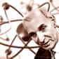 Professeur à l'université de Paris et à l'École normale supérieure, Alfred Kastler a obtenu le prix Nobel de physique en 1966 pour « la découverte et le développement de méthodes optiques dans l'étude des résonances hertziennes des atomes », notamment la technique du « pompage optique », élaborée en 1949.