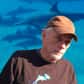 Dans les années 1960, O'Barry travaillait pour le Seaquarium de Miami, en capturant et dressant des dauphins – et tout particulièrement les cinq animaux qui ont campé le rôle de Flipper dans la série télé du même nom. Lorsque Kathy – principale "interprète" de Flipper – est morte dans ses bras, O'Barry a compris que la capture et le dressage des dauphins était contre nature. 
Dès lors, O'Barry a radicalement changé d'orientation. Pour la toute première Journée de la Terre, en 1970, il fonde le Dolphin Project dont la mission consiste à libérer les dauphins en captivité et sensibiliser l'opinion publique à leur sort. Il se lance alors dans une violente campagne contre l'industrie des delphinariums qui pèse plusieurs milliards de dollars, en demandant aux gens de ne pas se rendre dans les parcs d'attraction pour voir les dauphins se livrer à toutes sortes d'acrobaties. 
O'Barry a ainsi délivré 25 dauphins à Haïti, en Colombie, au Guatemala, au Nicaragua, au Brésil, aux Bahamas et aux Etats-Unis. Fort de ses 45 années d'expérience auprès des dauphins, il a participé à plusieurs conférences sur le thème très sensible de la captivité des dauphins partout dans le monde. Bien entendu, son action lui a valu de nombreux ennemis parmi les sociétés qui tirent profit de l'exploitation de ces mammifères marins. 
"Ces gens-là ne font ça que pour l'argent," explique O'Barry. "S'ils n'en retirent plus de profit, ils arrêteront du jour au lendemain. Les dauphins sont des animaux sauvages, complexes et intelligents, et leur place est dans les océans, pas dans nos parcs d'attraction à faire le clown." 
En 1991, O'Barry a reçu l'Environmental Achievement Award décerné par la délégation américaine auprès du Programme des Nations Unies pour l'Environnement (PNUE). 
Il a publié Behind the Dolphin Smile en 1989, puis Pour sauver un dauphin en 2000, paru au Pré aux Clercs. Les deux ouvrages évoquent l'engagement et les actions de leur auteur. 
En janvier 2007, il est devenu spécialiste des mammifères marins pour l'Earth Island Institute et directeur de la coalition Save Japan Dolphins : www.SaveJapanDolphins.org