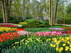 Le Keukenhof,  parc floral avec plus de 7 millions de bulbes en fleur