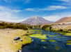 Vue du stratovolcan Paniri au nord du Chili, près de la frontière bolivienne