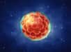 Les cellules d’un embryon sont capables de donner tous les types cellulaires : ce sont des cellules souches pluripotentes. © nobeastsofierce, Shutterstock
