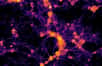 La collaboration Extreme-Horizon, menée par des équipes du CEA, du CNRS, de Sorbonne Université et de l’Université Paris-Saclay, vient de rendre publics les résultats d'une simulation inédite de l’évolution des structures cosmiques formées des galaxies et trous noirs supermassifs. Ils vont nous aider à percer les secrets de la matière et de l'énergie noire.