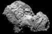 Rosetta a repéré un acide aminé (la glycine) et du phoshore sur « sa » comète, 67P/Churyumov-Gerasimenko, alias Tchouri. Pour Hervé Cottin, astrochimiste et co-auteur de cette découverte, la présence de ces éléments clés de la vie doit être prise en compte dans les scénarios de l'apparition de la vie sur Terre.