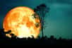 Dans certaines circonstances atmosphériques rares, comme après une éruption volcanique importante ou un incendie de forêt majeur, il est possible que la Lune prenne une teinte bleuâtre ! © darkfoxelixir, Adobe Stock