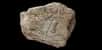 Au pied du rocher de l’Impératrice, à Plougastel-Daoulas, des archéologues ont exhumé plusieurs tablettes de schiste gravées. Ce sont les œuvres d’art les plus anciennes découvertes en Bretagne. Un véritable trésor, daté de 14.000 ans, qui compte parmi ses plus belles pièces une intrigante gravure de tête d'auroch entourée de rayons.