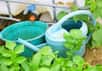 Pourquoi gaspiller l’eau potable quand la pluie peut faire le travail ? Un récupérateur d’eau de pluie 300L est une solution écologique et économique pour arroser votre jardin, nettoyer votre terrasse ou rafraîchir vos extérieurs sans alourdir votre facture. Même en période de forte chaleur, vous profitez d’une réserve d’eau gratuite et durable.