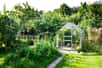Investir dans une serre de jardin en polycarbonate est une excellente solution pour protéger vos plantations et favoriser leur croissance. Grâce à son isolation performante et sa résistance aux intempéries, elle crée un environnement stable et propice au développement de vos légumes, fleurs et semis.