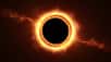 Plusieurs modèles ont été proposés pour rendre compte de l'existence de trous noirs dits intermédiaires, lesquels seraient des germes pour la naissance des trous noirs supermassifs. Des observations dans le domaine des rayons X et avec Hubble viennent de soutenir un des modèles proposés qui implique que certains trous noirs d'origine stellaire peuvent avaler plus d'un millier d'étoiles dans certaines régions au cœur de galaxies spirales.