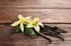 Fleurs et gousses de vanille. ©New Africa, AdobeStock