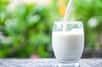 Le lait de chamelle serait bénéfique pour les patients souffrant de diabète de type 2. Une nouvelle étude britannique montre que, in vitro, ses graisses réduisent l'inflammation liée aux macrophages.