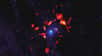 L'Univers observable contient des galaxies « mortes » car ne contenant plus de gaz pouvant assurer le renouvellement de la formation de jeunes étoiles. Des observations obtenues avec le grand réseau de radiotélescopes Alma et concernant l'hydrogène moléculaire dans le fameux amas de galaxies de la Vierge fournissent probablement l'identité du processus tueur de galaxies.