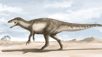 Si les Velociraptor donnaient déjà des sueurs froides aux spectateurs de la saga Jurassic Park, les films sont loin de montrer quels furent les plus impressionnants « raptors » ayant foulé la Terre. Une étude rapporte la découverte d'une nouvelle espèce en Argentine, dont la taille rivalisait avec celle des allosaures.