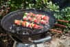 Découvrez notre guide complet pour bien choisir votre barbecue Weber. Charbon, gaz ou électrique : comparez les meilleurs modèles selon vos besoins, votre budget et votre espace extérieur.