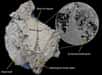 Voici un modèle 3D virtuel du fossile de Minjinia turgenensis, dont l'os endochondral est visualisé dans un encart. © Brazeau et al. 2020, Nature Ecology & Evolution