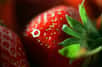 Une infection urinaire est une infection qui siège au niveau d'un organe de l'appareil urinaire : l'urètre, la vessie et les reins. Très fréquentes chez les jeunes femmes, elles n’en sont pas moins désagréables. Si de nombreuses études ont déjà mis en avant les bienfaits du cranberry pour en venir à bout, une croyance populaire accorde aux feuilles de fraises les mêmes vertus. Qu'en est-il réellement ?