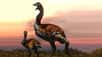 Un oiseau géant de Madagascar, aujourd’hui éteint, s’est vu décerner le titre du plus gros oiseau de l’Histoire. Appartenant à la grande famille des oiseaux-éléphants, l’animal au nom évocateur, Vorombe titan, pouvait peser plus d’une demi-tonne !