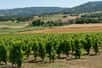 Si l’Auvergne est connue pour ses anciens volcans, elle l’est bien moins pour ses vins. Et pourtant, les terres volcaniques de la région accueillent un petit vignoble, dont il existe très peu d’équivalent dans le reste du monde.