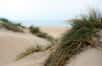 Et si la lutte contre l’érosion des côtes passait simplement par la restauration des dunes côtières ? Une étude dévoile tout l’intérêt d’arrêter la manutention artificielle des grandes zones de plage au profit de l’établissement naturel d’un environnement dunaire.
