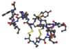 Modèle de peptide, composant de base des protéines © Nevit Dilmen, Wikimedia Commons, CC BY-SA 3.0