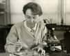 Pionnière de la génétique, l'Américaine Barbara McClintock a multiplié les découvertes entre la fin des années 1920 et les années 1950 : le rôle des chromosomes dans l’hérédité, le « crossing-over », les gènes sauteurs, la régulation des gènes, l'épigénétique... En avance sur leur temps, ses travaux ont été rejetés… puis tous confirmés. Récompensée in extremis par un Nobel en 1983, elle fut de son vivant pleinement reconnue comme une des plus grandes biologistes. Mais si tardivement...