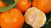 Mandarine et clémentine se ressemblent beaucoup, mais diffèrent par le goût, la peau et la date de fructification. Et l'une est hybride de l'autre, à l'issue d'une histoire que la génétique a récemment rectifiée.