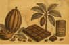 Chaque année, nous consommons en moyenne plus de 7 kilos de chocolat par personne. Un chiffre impressionnant… mais qui contraste avec notre méconnaissance de sa fabrication. © AI, avec ChatGPT
