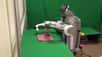 Des scientifiques de l’université de Berkeley, aux États-Unis, ont développé un robot capable d’aider les humains dans leurs tâches quotidiennes. Laver ou plier le linge n’a pas de secret pour PR2, le robot présenté dans cette vidéo.