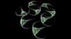 Le cératium, étonnant dinoflagellé du phytoplancton de l'océan, nage activement mais, comme une plante, sait capter la lumière. Christian Sardet nous parle de cet organisme original dans cet épisode des Chroniques du Plancton.