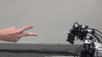Au chifoumi, il ne faut qu’une milliseconde à cette main robotisée pour identifier le mouvement de la main de son opposant et en déduire la forme qu’il veut proposer. © Université de Tokyo, Ishikawa Oku Lab, YouTube