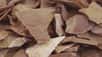 Lors de fouilles dans l’Orne, plus précisément dans la commune de Ri, des archéologues découvrent d'étranges taches circulaires. Sont-elles les vestiges d’une ancienne activité humaine ? Les archéologues de l’Inrap (Institut national de recherches archéologiques préventives) nous répondent dans ce nouvel épisode des experts du passé.