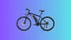 Reconnu pour son excellent rapport qualité-prix, le VTT électrique Touroll U1 devient encore plus accessible grâce à une offre spéciale sur Cdiscount. Une occasion idéale pour s’équiper d’un vélo performant, conçu pour allier puissance, endurance et confort sur tous les terrains.
