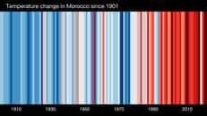 « Warming stripes » du Maroc, pour la période 1901-2021. Chaque bandelette correspond à une année. La couleur reflète l'intensité de l'anomalie des températures mesurées par rapport à l'ère préindustrielle. Le bleu pour les plus froides que la moyenne, et le rouge pour les années les plus chaudes que la normale. © ShowYourStripes.info