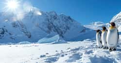 En Antarctique, les barrières de glace inquiètent les chercheurs. Ils observent qu’elles fondent aujourd’hui deux fois plus vite qu’il y a 50 ans. © Gallery For U, Adobe Stock