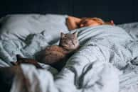 Votre chat dort sur vous la nuit : ce n'est pas (seulement) par amour. © Pyrosky, iStock