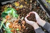 Bien trier les déchets pour avoir un beau compost. © Jérôme Rommé, Adobe Stock